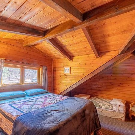 Forest Cabin 2 Birds Nest Payson Buitenkant foto